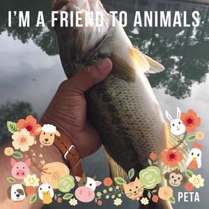 Meet your Posher, Lawrence